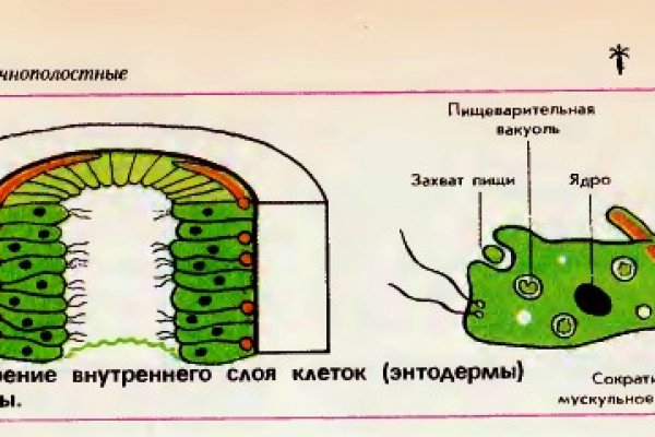 Тор blacksprut фан