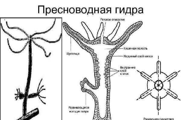 Блэк пост blacksprut adress com