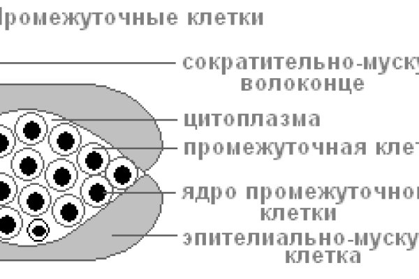 Зеркала blacksprut blacksprut adress com